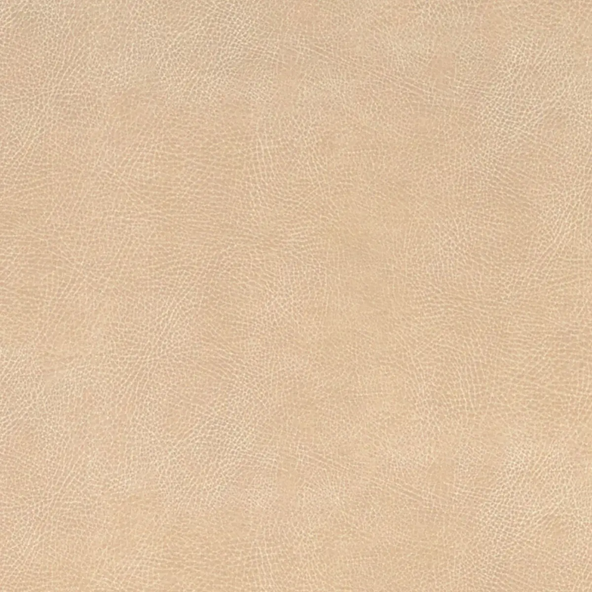 BRISA SOLEIL DISTRESSED_ CHAMOIS
