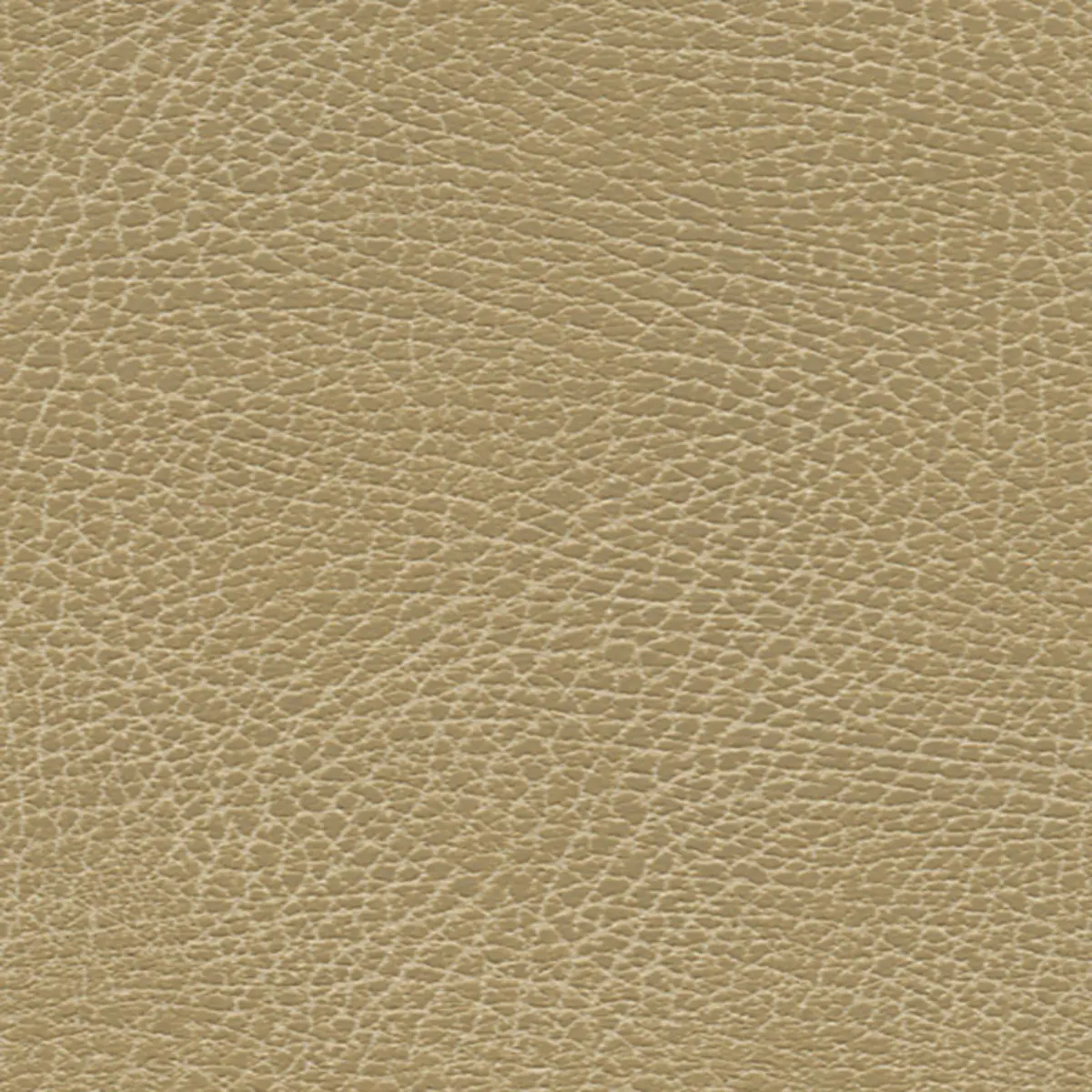 BRISA SOLEIL DISTRESSED_ BUCKS