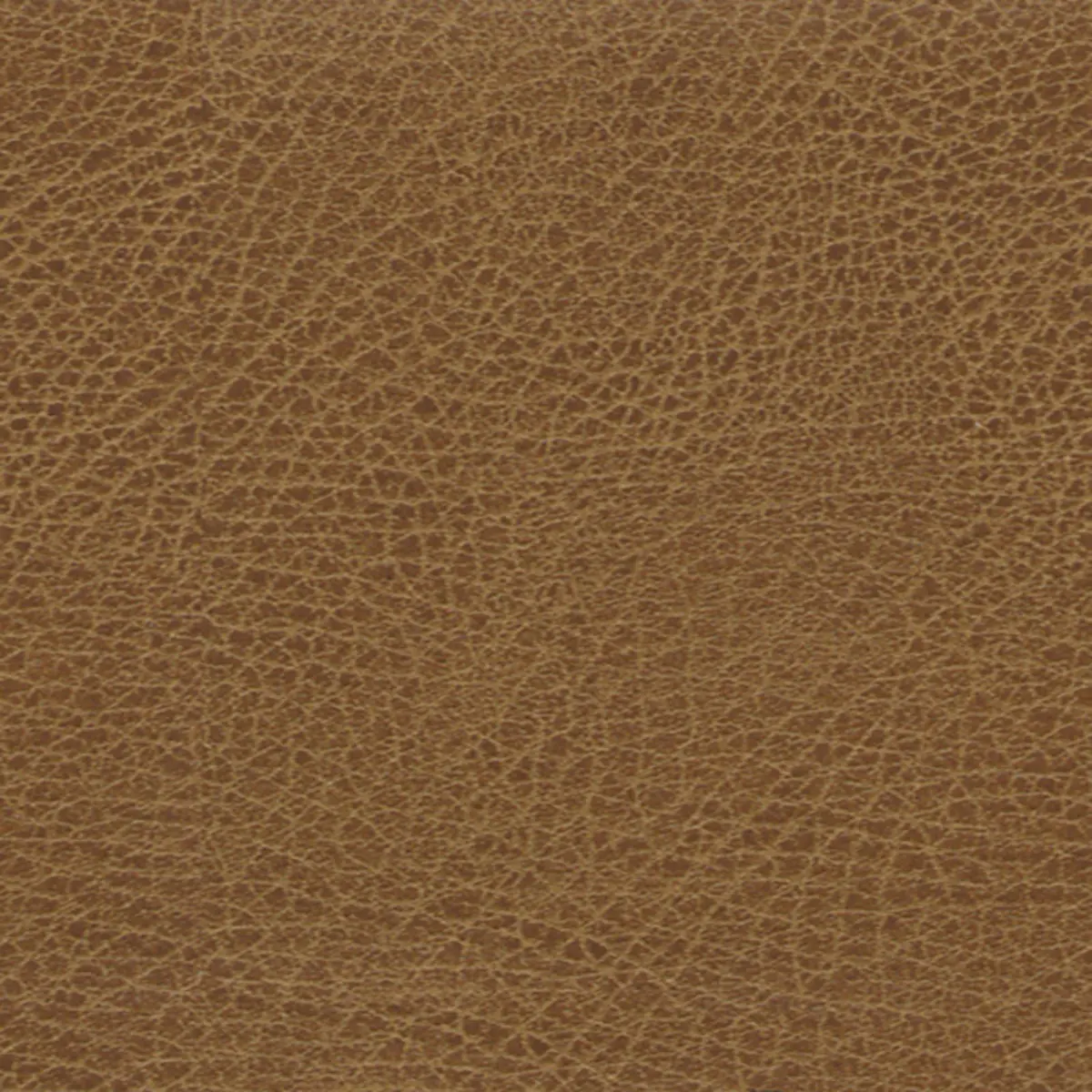 BRISA SOLEIL DISTRESSED_ SADDLE