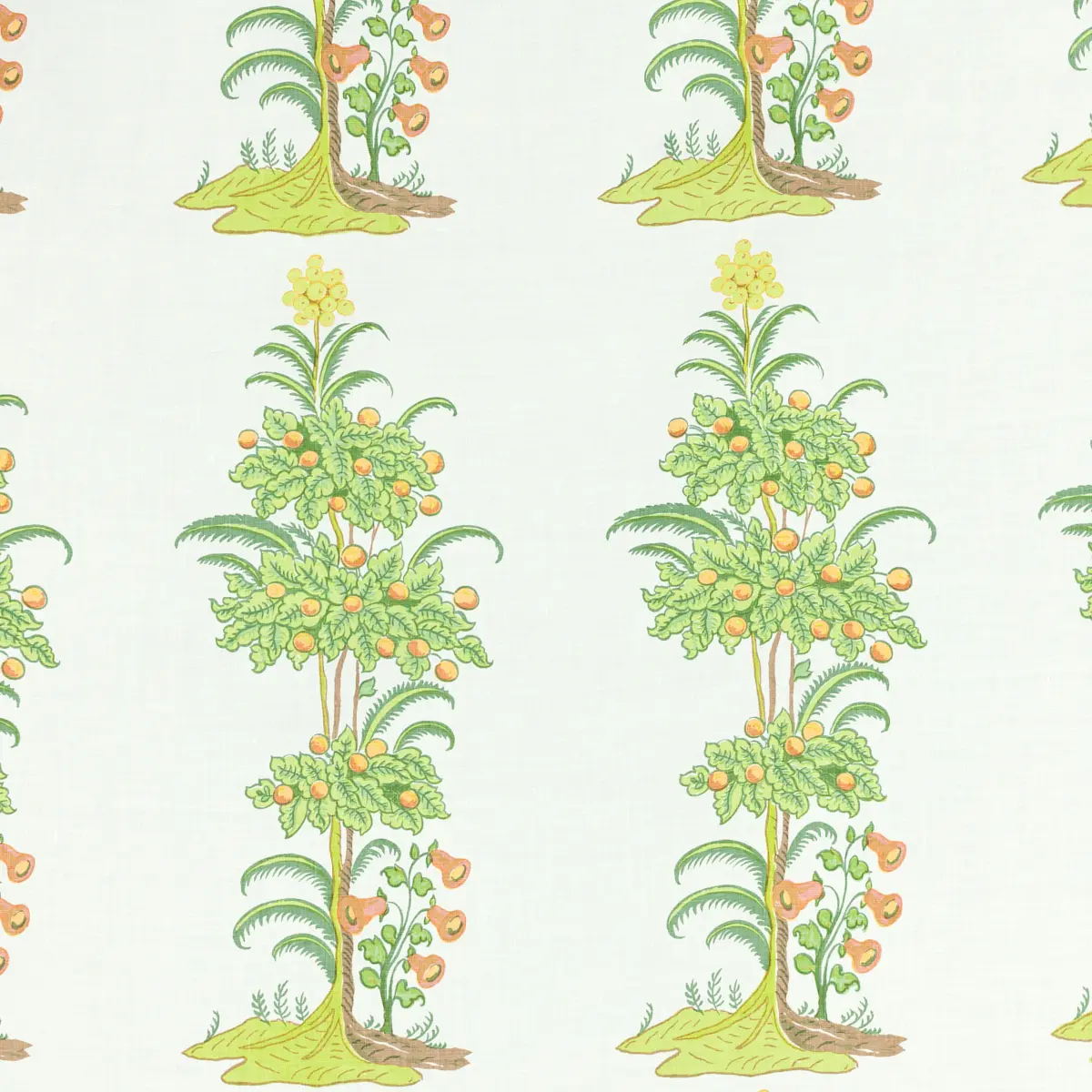 Mandarin_ LIME