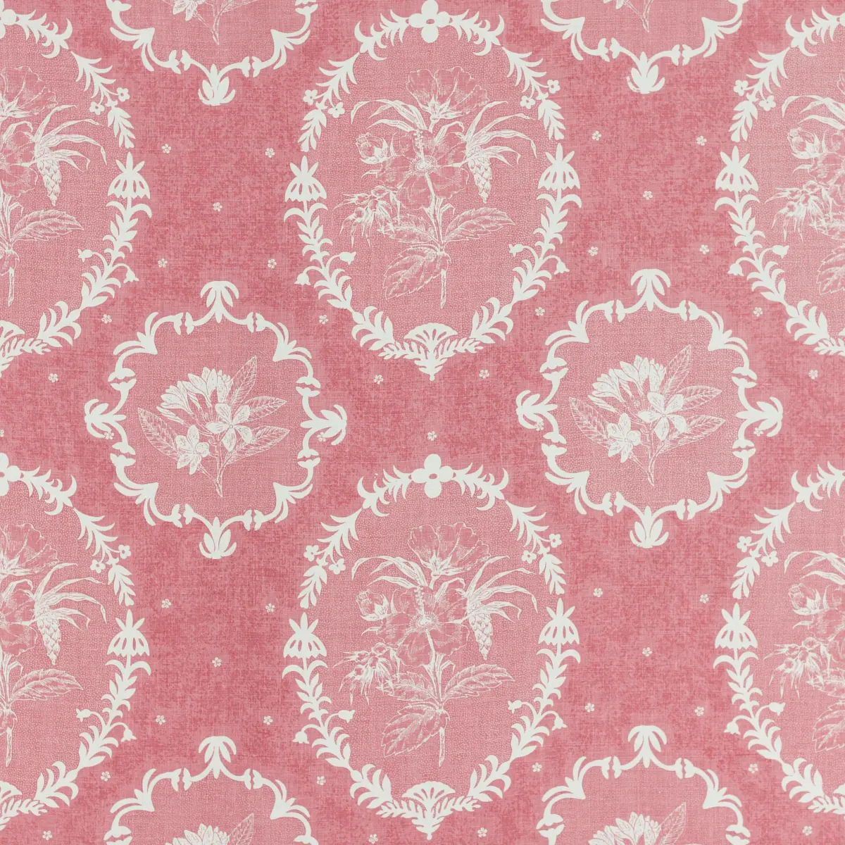 Cameo_ BORSCHT