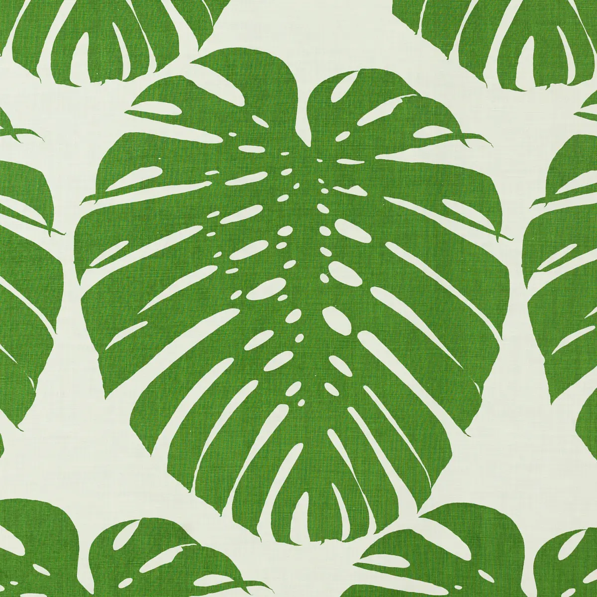 Exoticus_ ELEPHANT LEAF