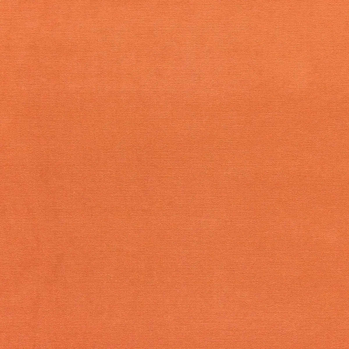 GAINSBOROUGH VELVET_ MELON