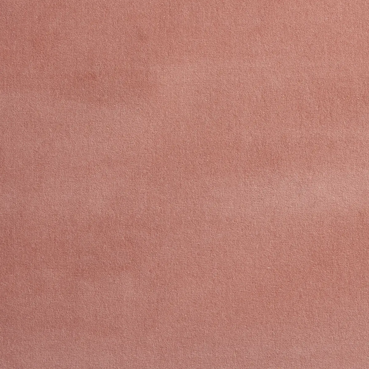 GAINSBOROUGH VELVET_ PETAL