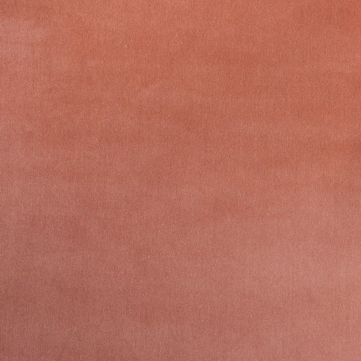 GAINSBOROUGH VELVET_ CONCH