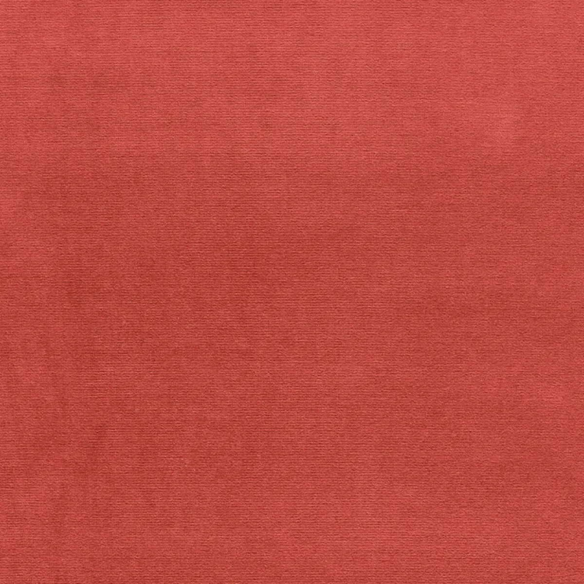 GAINSBOROUGH VELVET_ ZINNIA