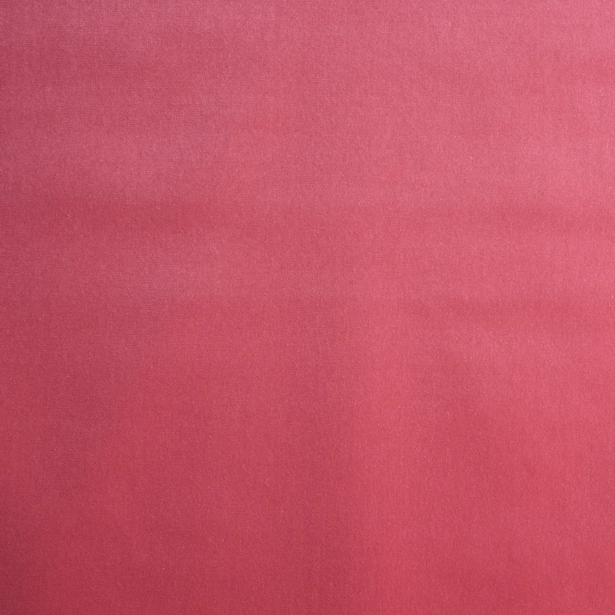 GAINSBOROUGH VELVET_ HIBISCUS
