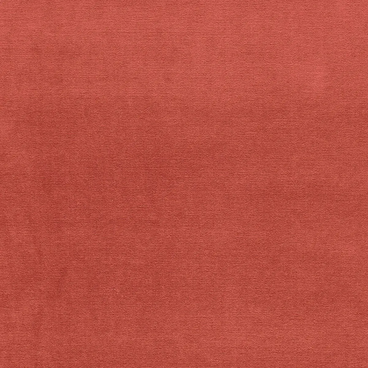 GAINSBOROUGH VELVET_ ROSE