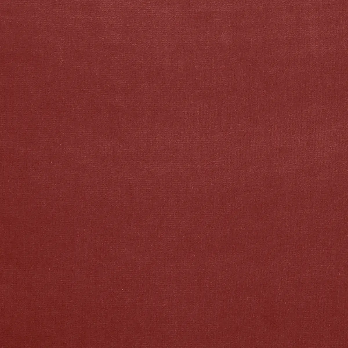 GAINSBOROUGH VELVET_ GERANIUM