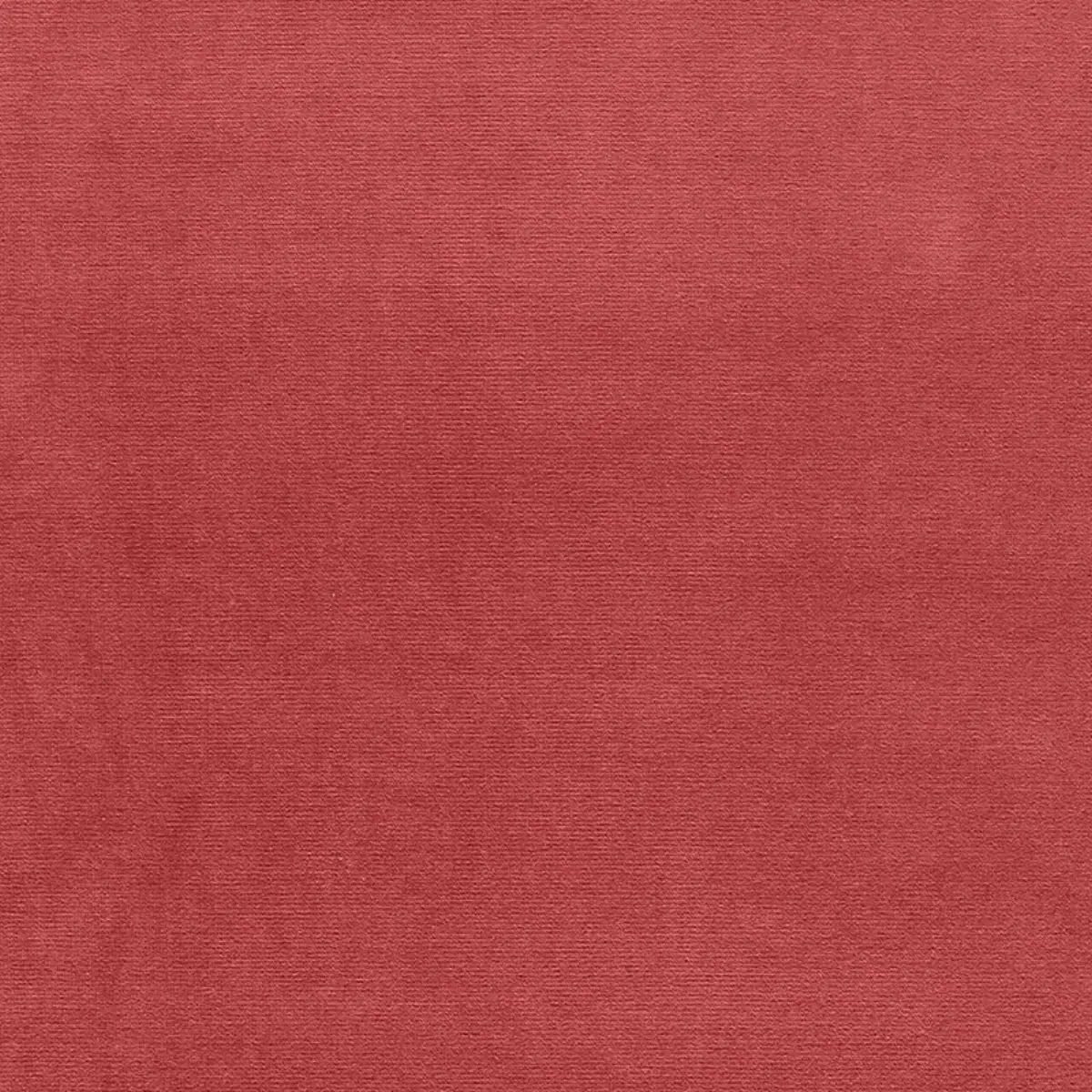 GAINSBOROUGH VELVET_ TEA ROSE