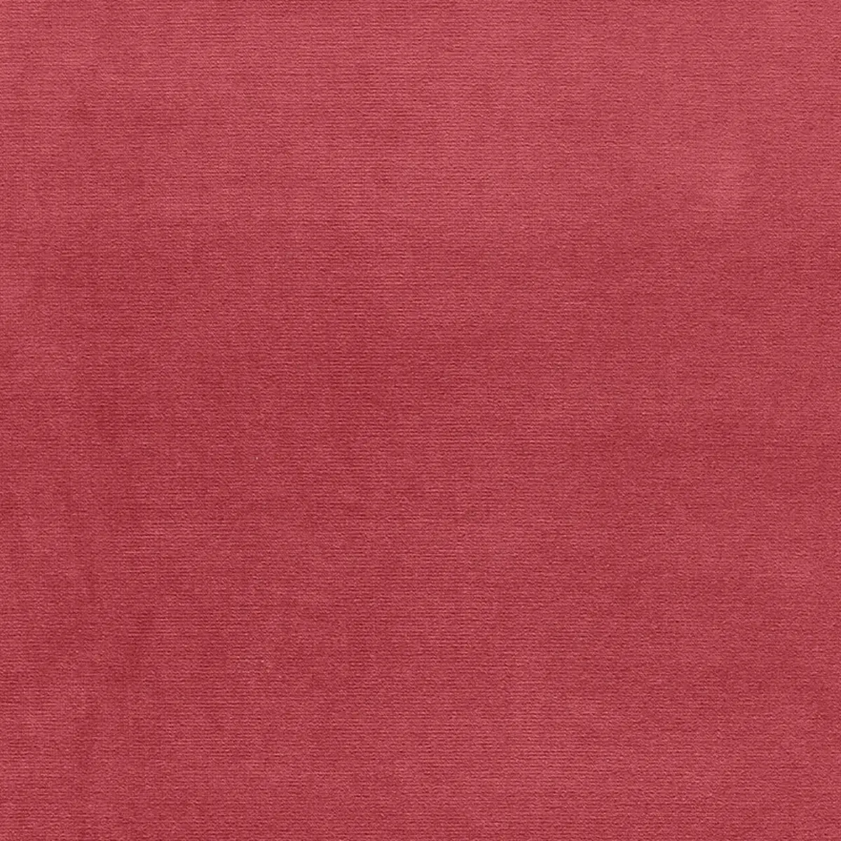 GAINSBOROUGH VELVET_ WOODROSE