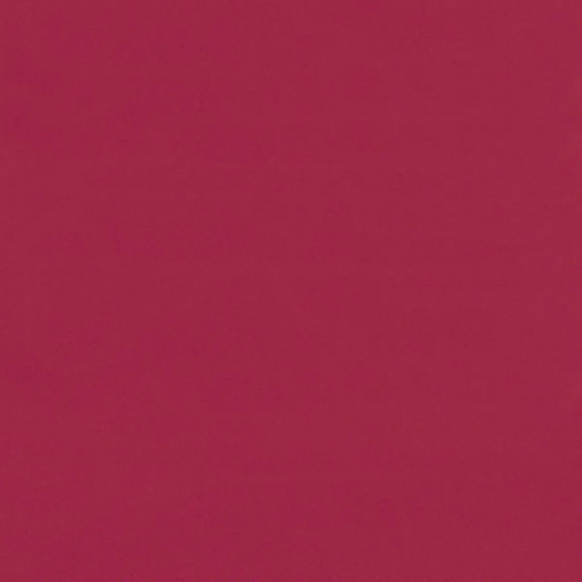 GAINSBOROUGH VELVET_ RHODODENDRON