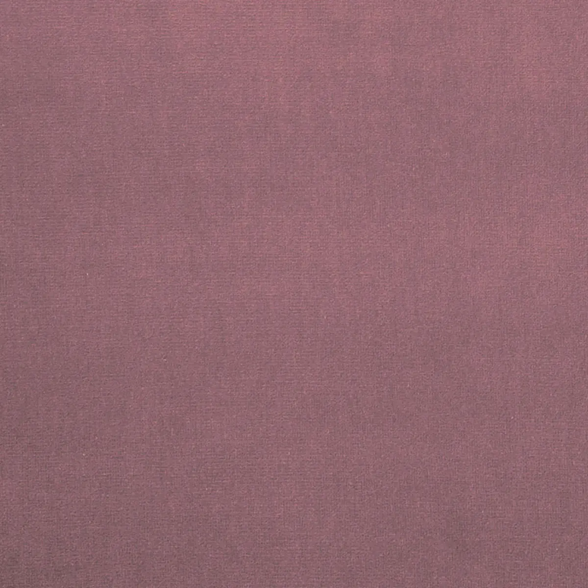 GAINSBOROUGH VELVET_ TULIPWOOD