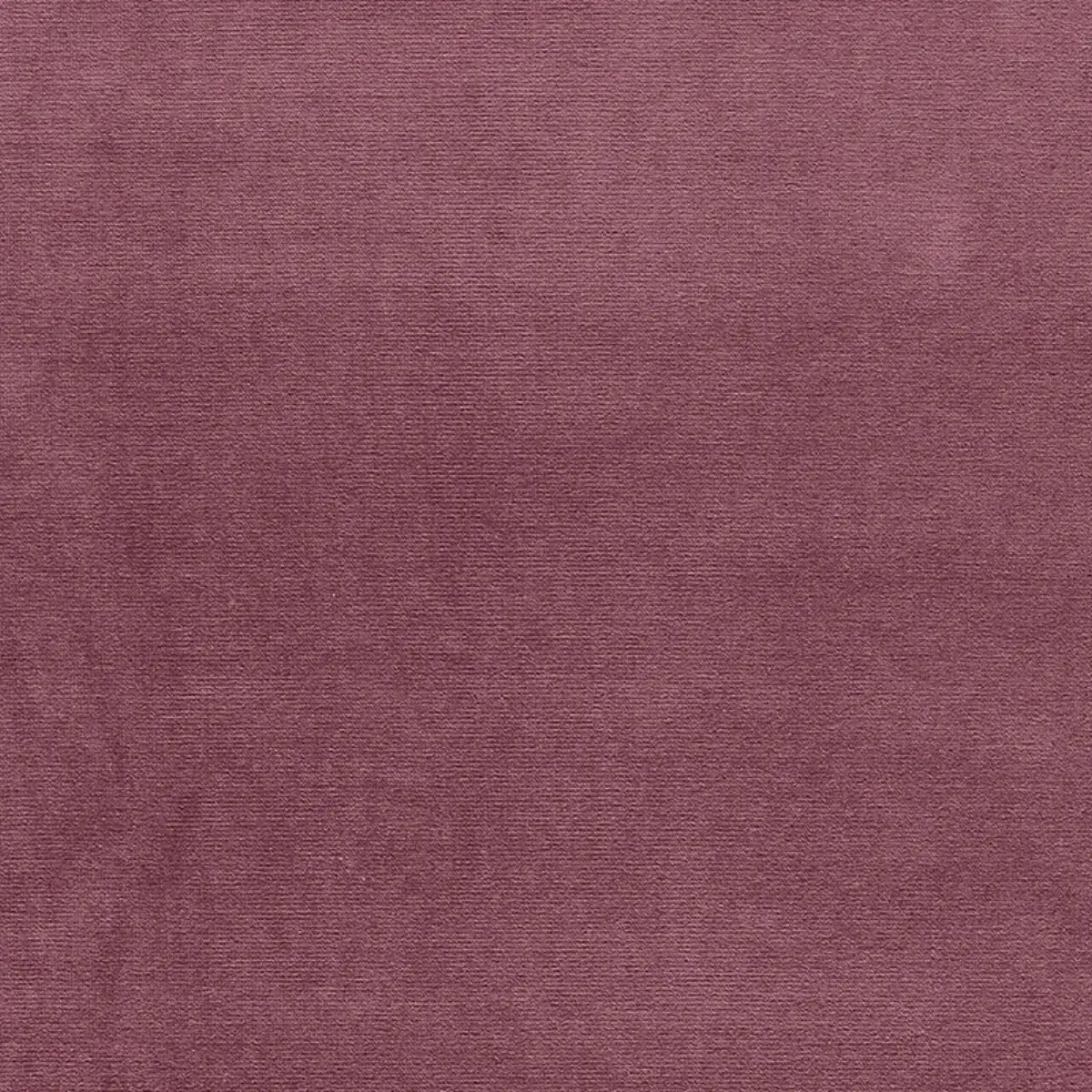 GAINSBOROUGH VELVET_ AMETHYST