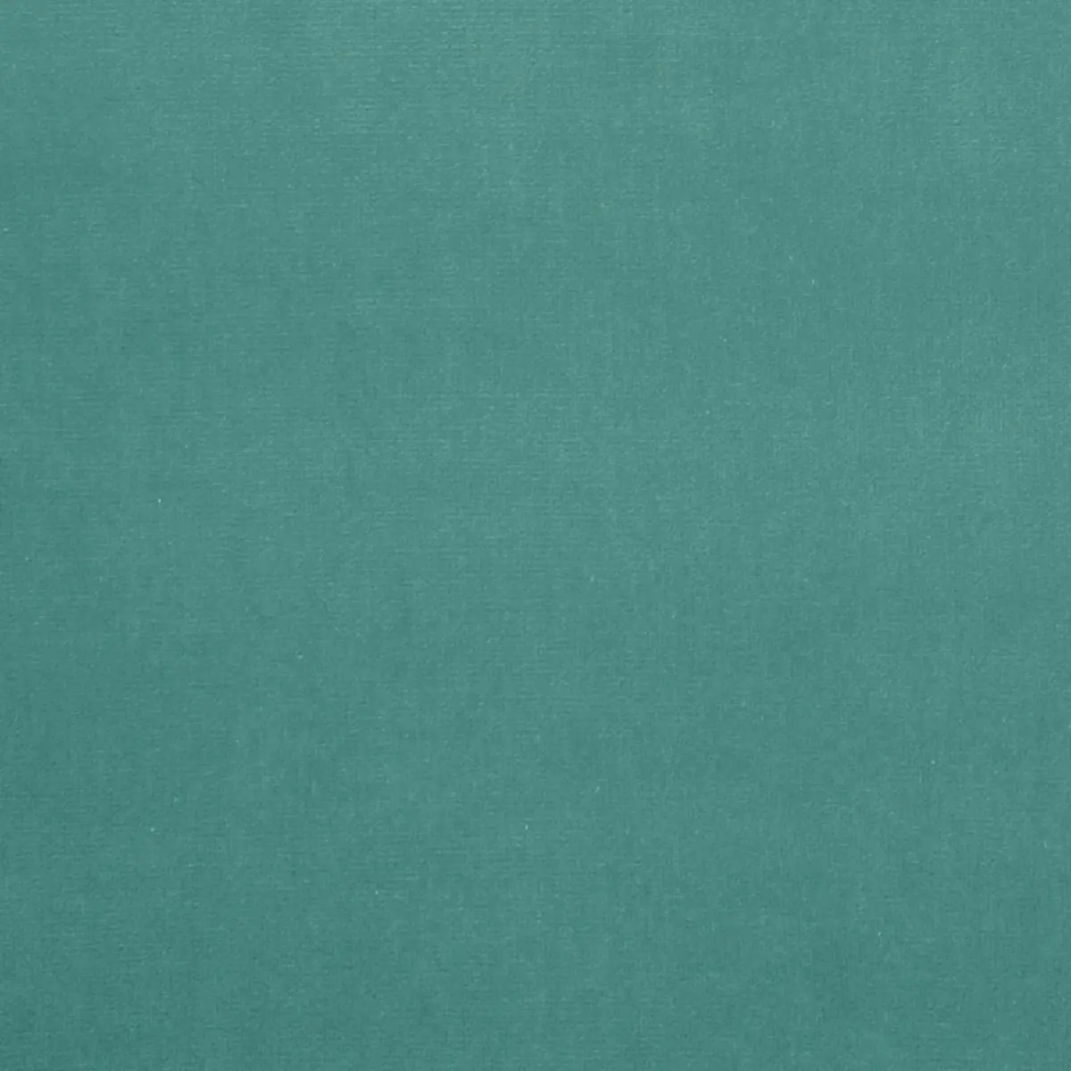 GAINSBOROUGH VELVET_ SPRAY