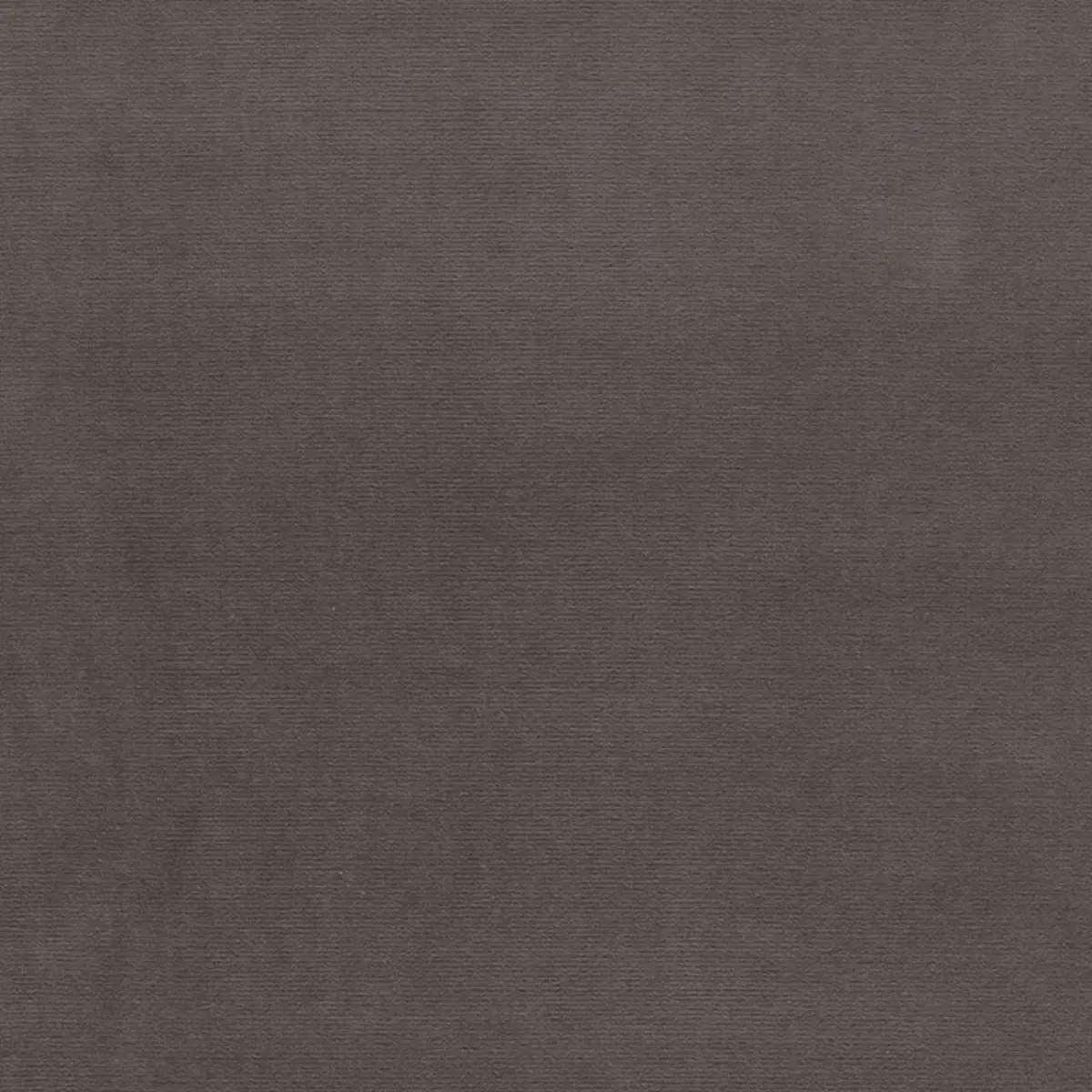 GAINSBOROUGH VELVET_ BEAVER