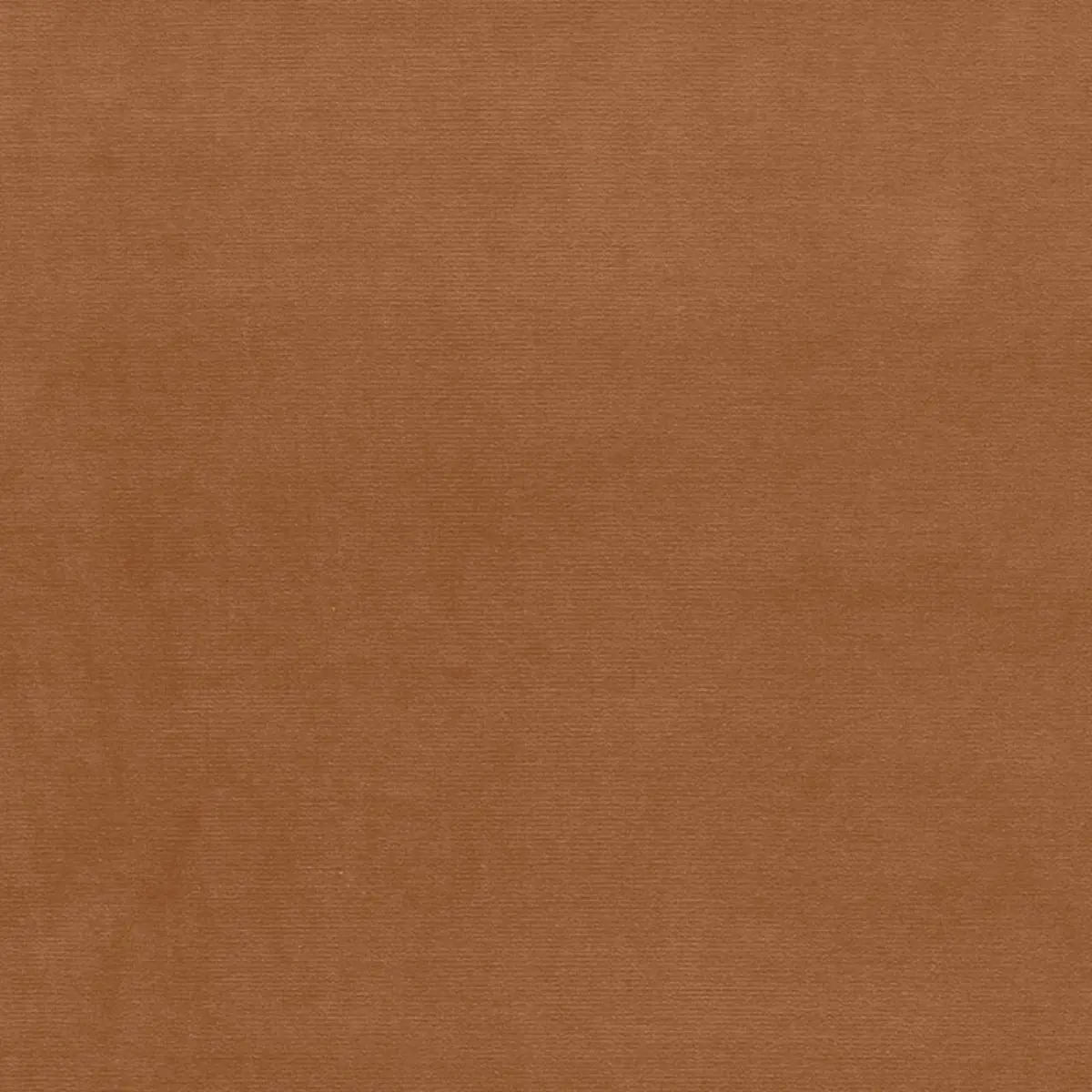 GAINSBOROUGH VELVET_ CAMEL