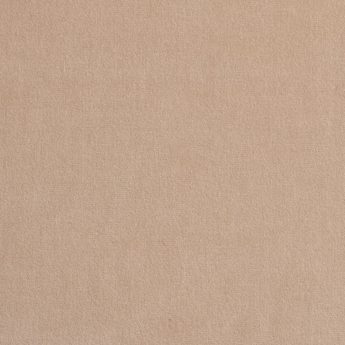 GAINSBOROUGH VELVET_ BONE