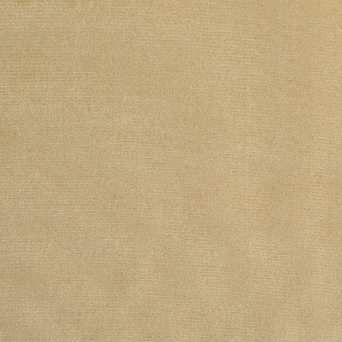 GAINSBOROUGH VELVET_ CHAMPAGNE