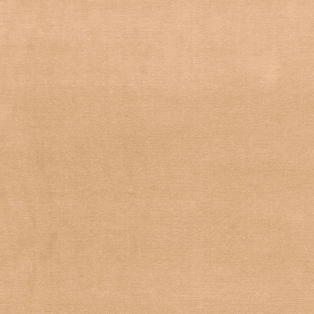 GAINSBOROUGH VELVET_ SAND