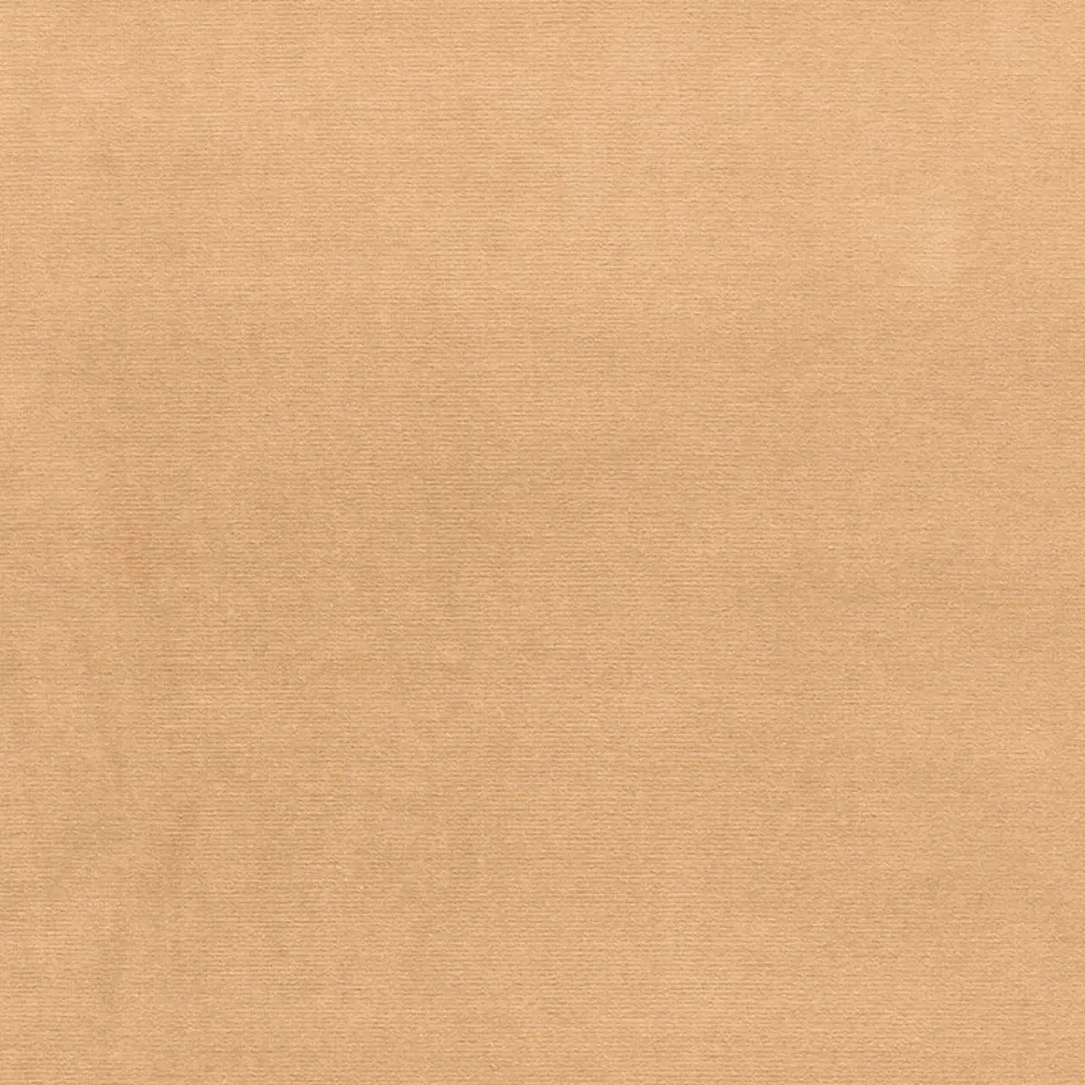 GAINSBOROUGH VELVET_ CHAMOIS