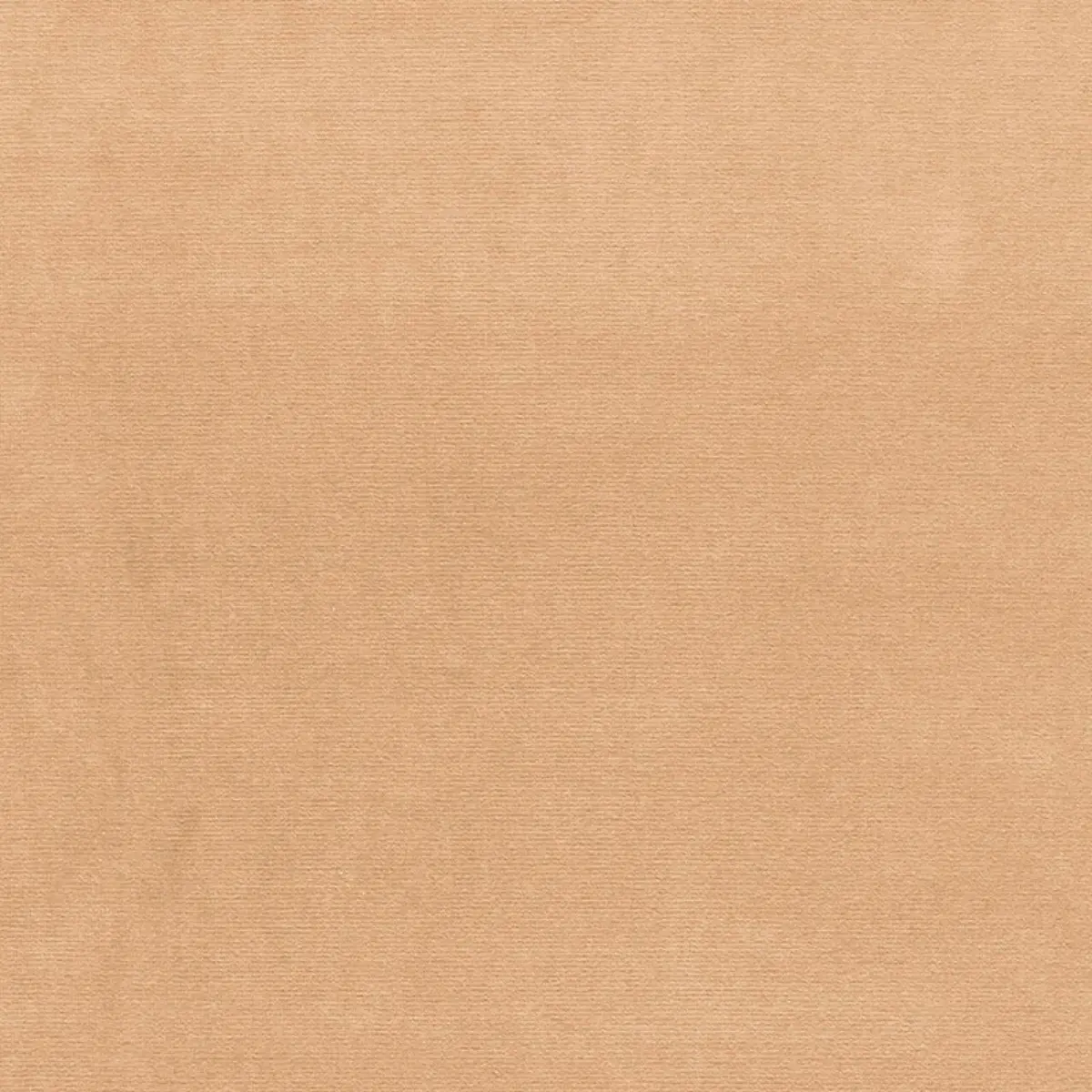 GAINSBOROUGH VELVET_ BUFF