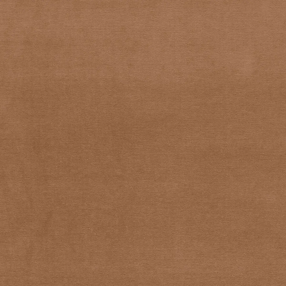 GAINSBOROUGH VELVET_ CASHEW