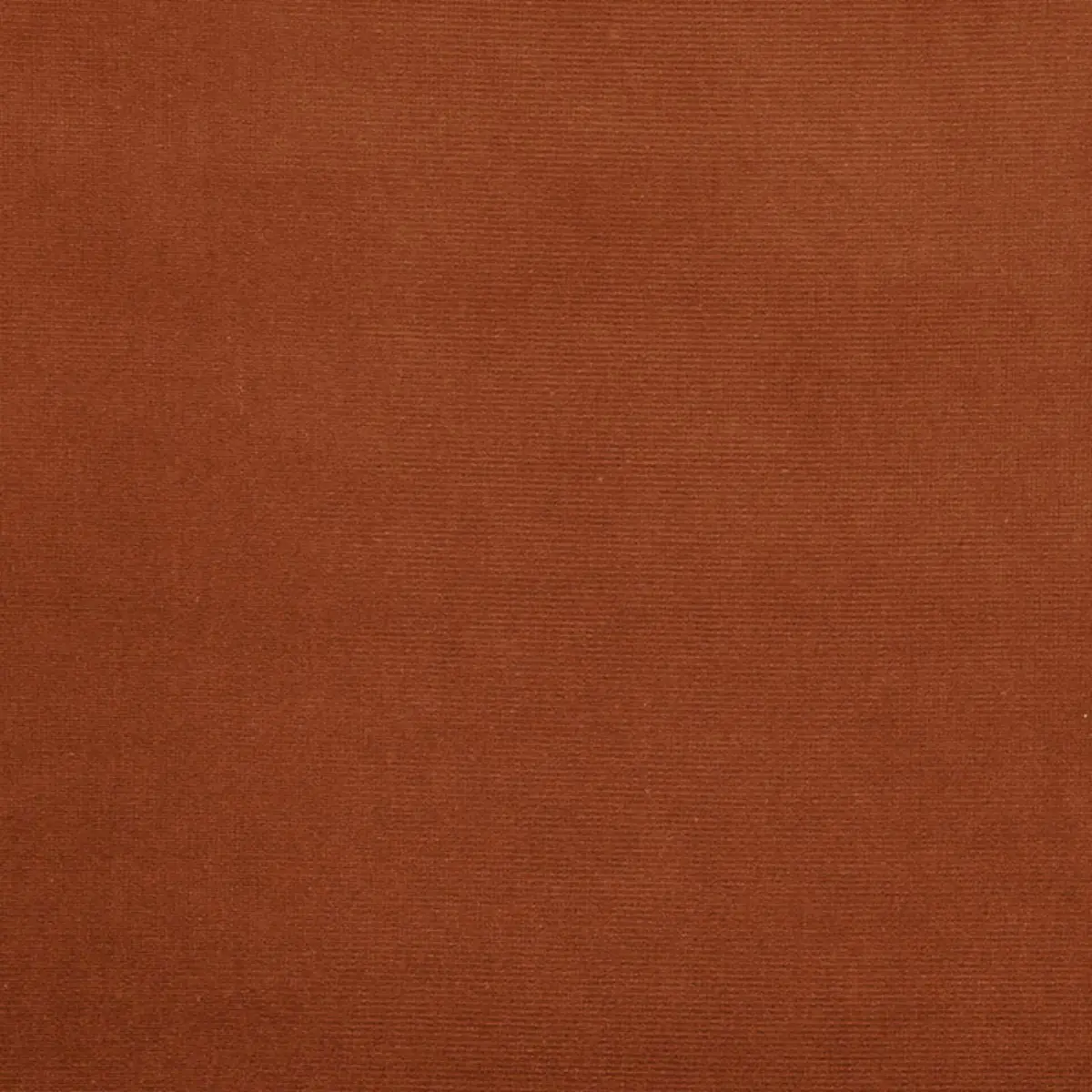 GAINSBOROUGH VELVET_ AMBER