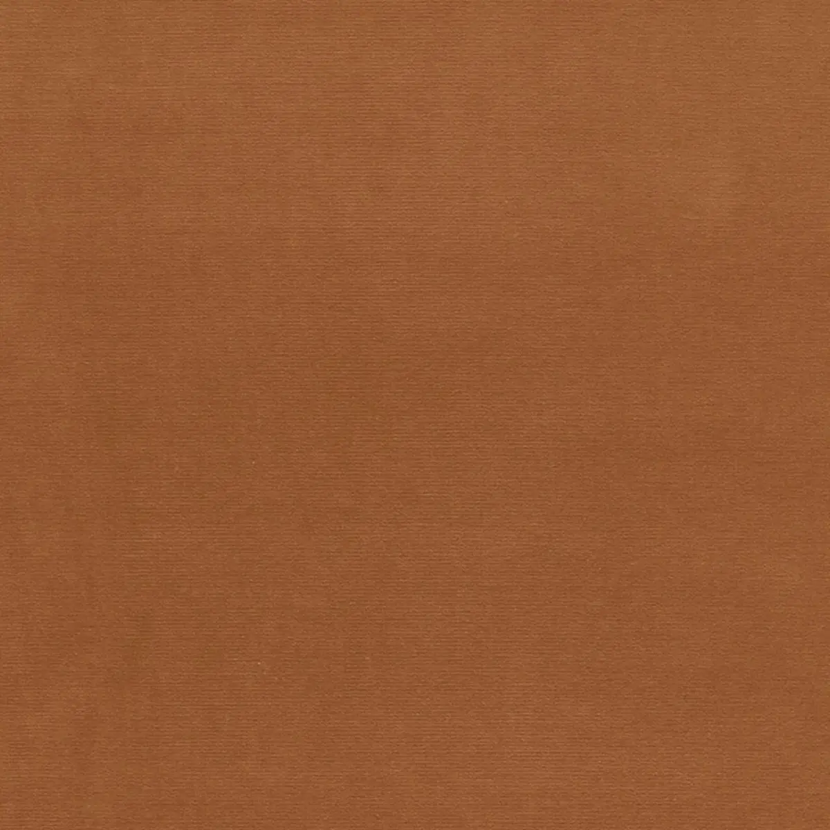 GAINSBOROUGH VELVET_ BUTTERSCOTCH