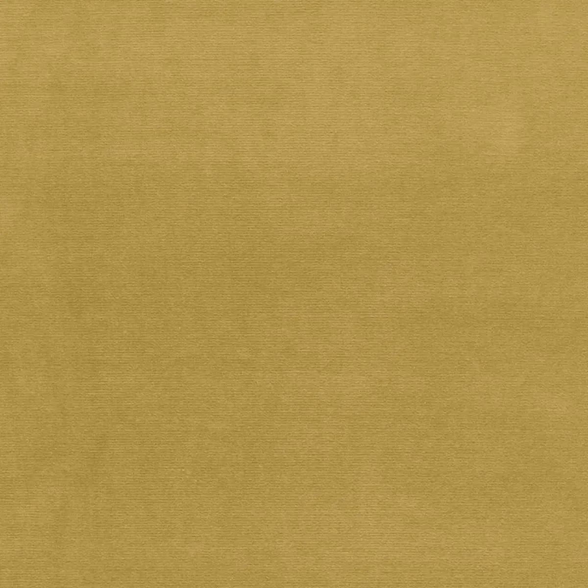 GAINSBOROUGH VELVET_ SAFFLOWER