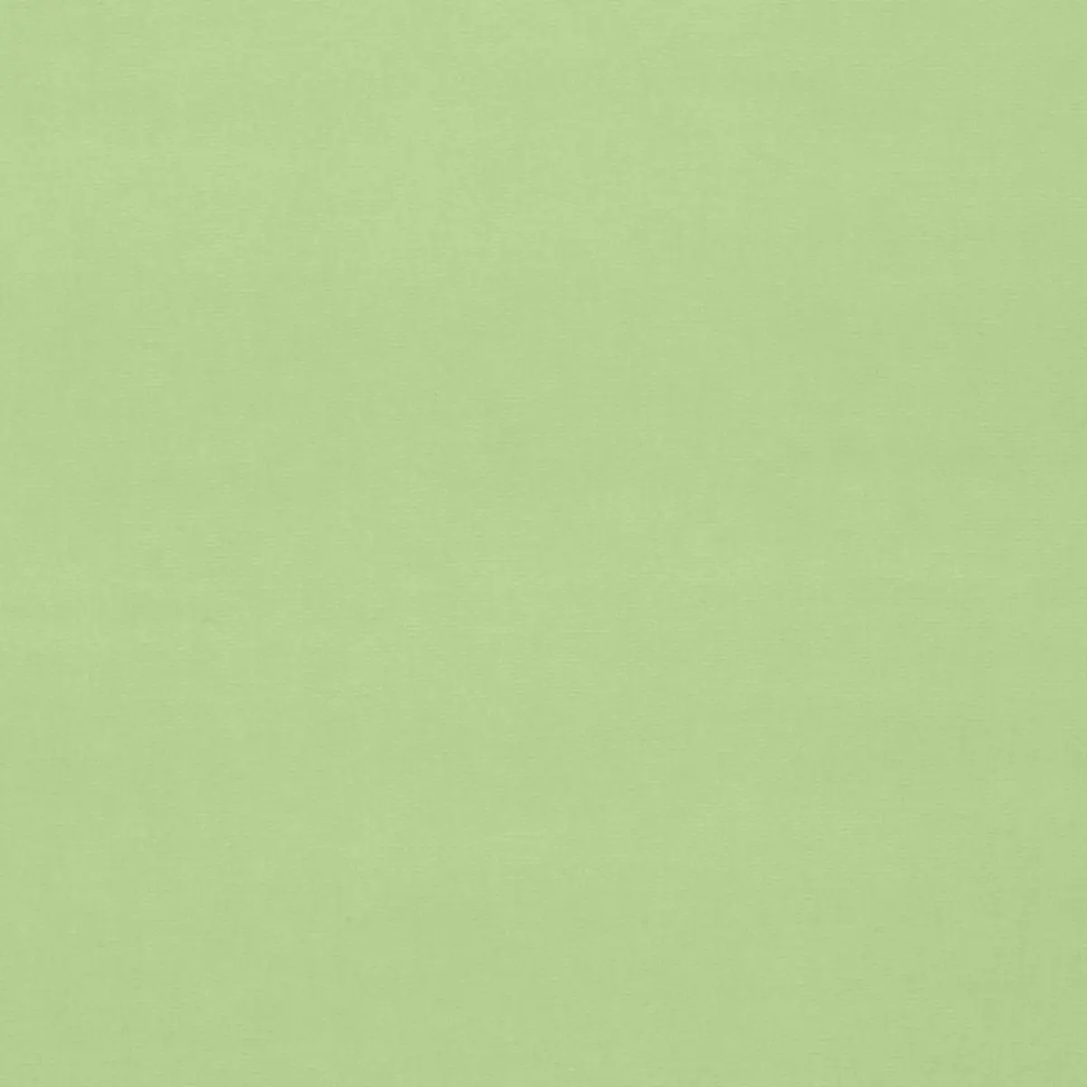 GAINSBOROUGH VELVET_ MINT