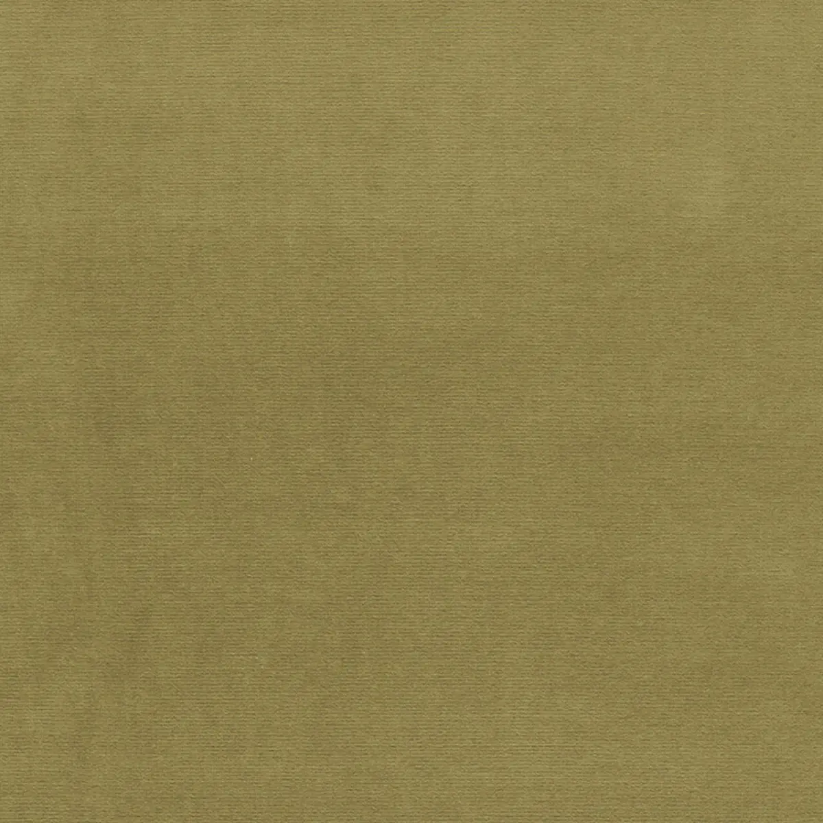 GAINSBOROUGH VELVET_ LICHEN