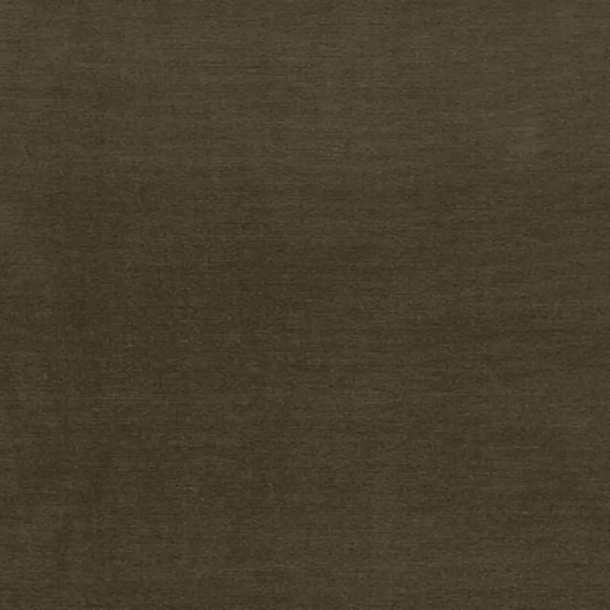GAINSBOROUGH VELVET_ CACTUS