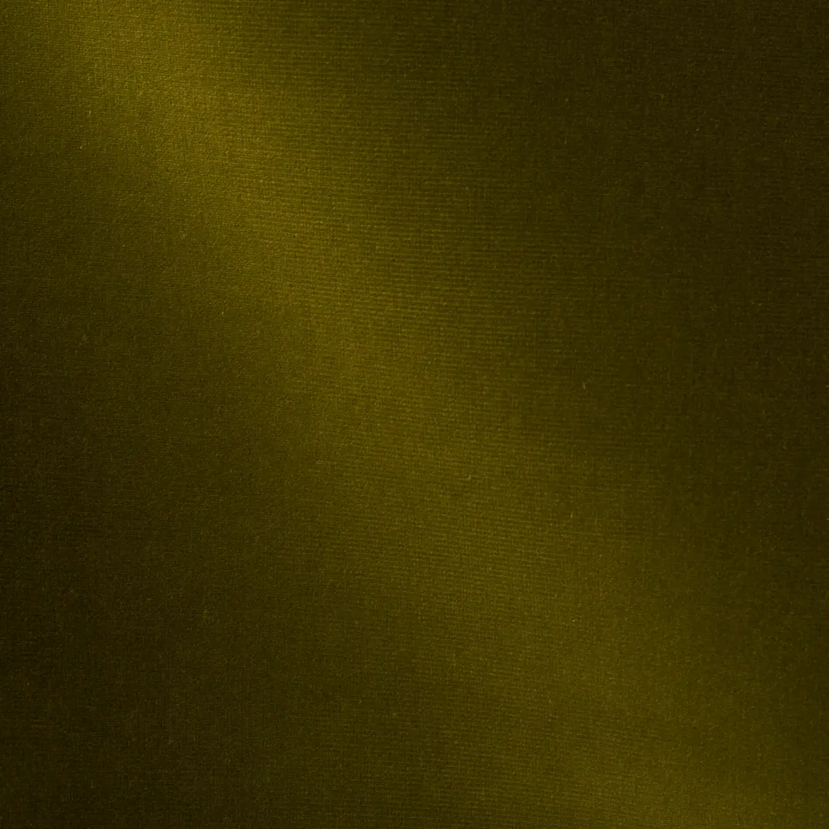 GAINSBOROUGH VELVET_ MOSS