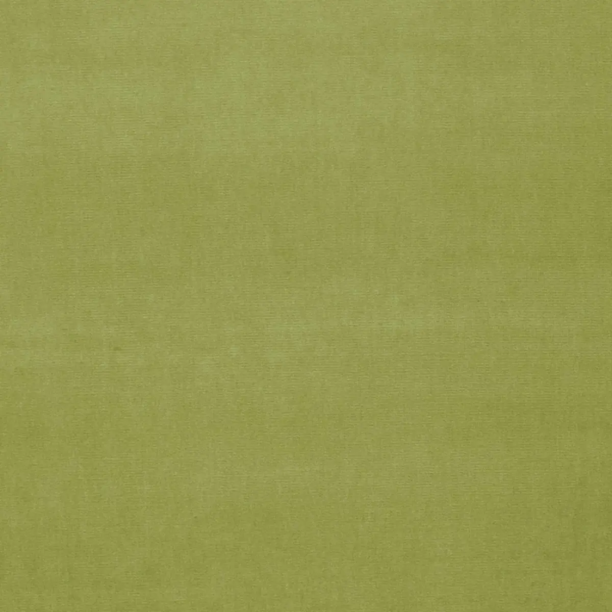 GAINSBOROUGH VELVET_ CELERY