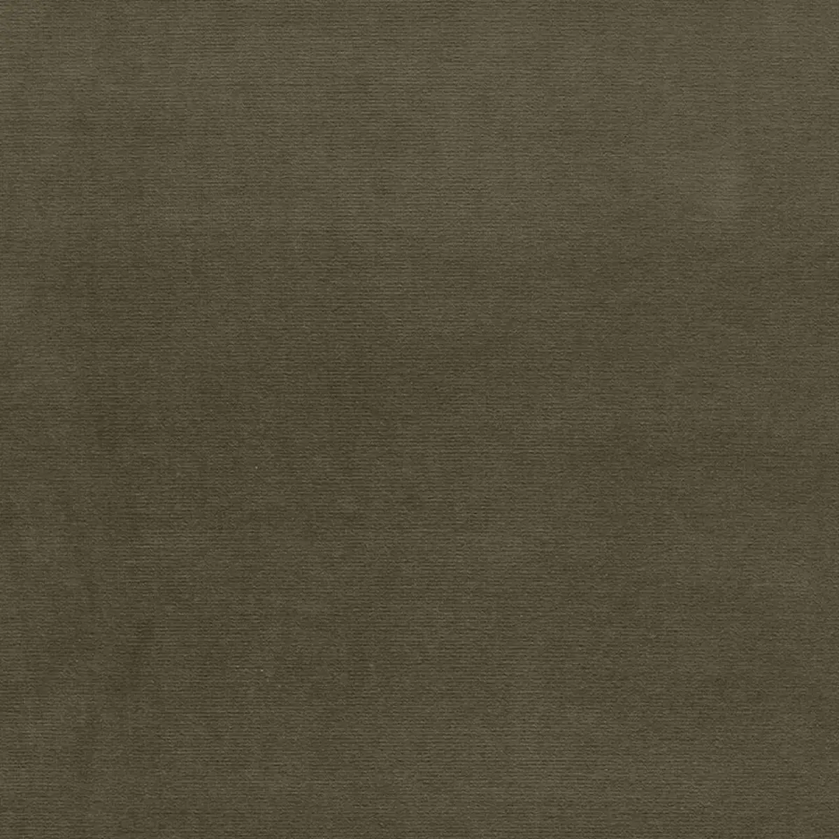 GAINSBOROUGH VELVET_ KHAKI