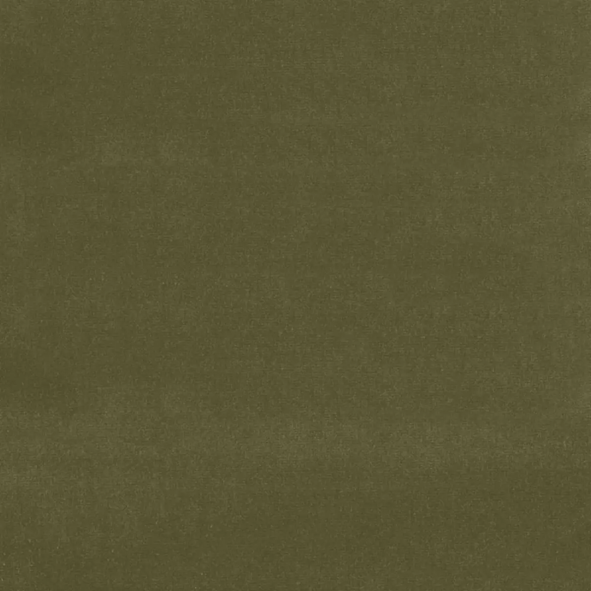 GAINSBOROUGH VELVET_ DARK OLIVE