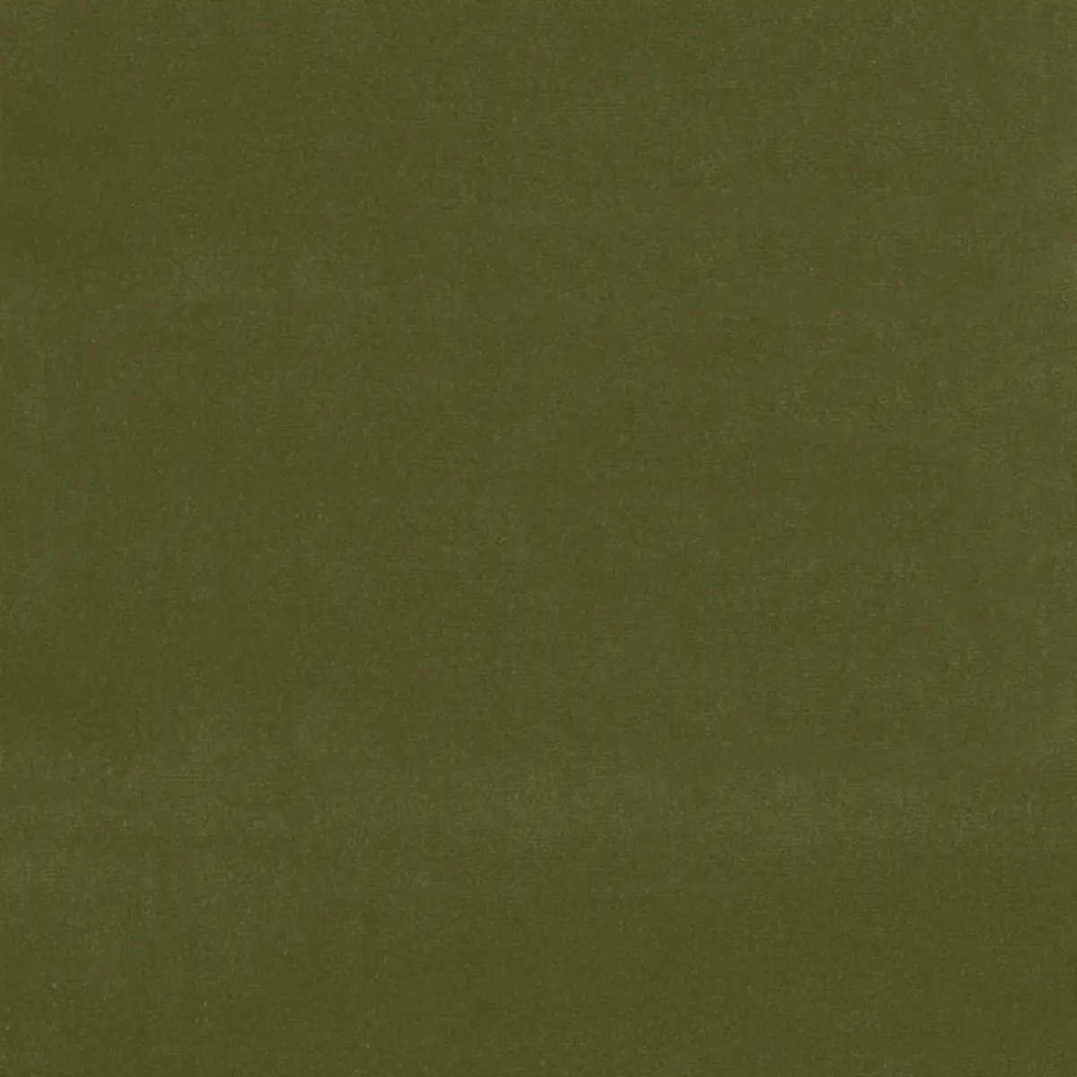GAINSBOROUGH VELVET_ OLIVE