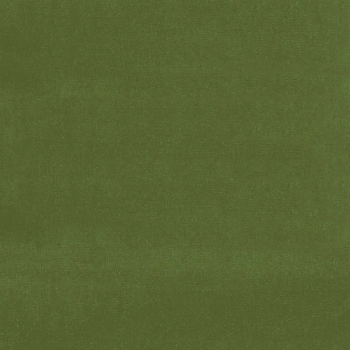 GAINSBOROUGH VELVET_ FERN