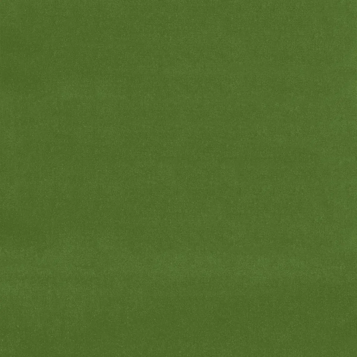 GAINSBOROUGH VELVET_ ENGLISH GREEN