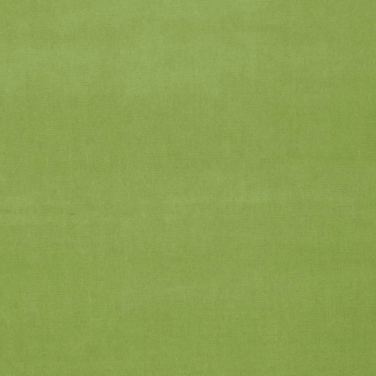 GAINSBOROUGH VELVET_ APPLE