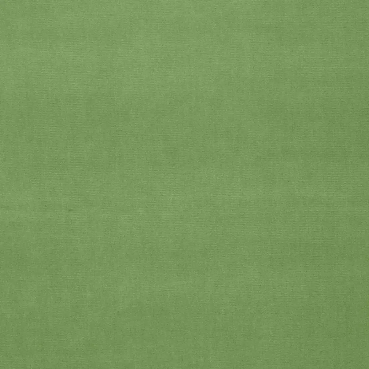 GAINSBOROUGH VELVET_ WILLOW