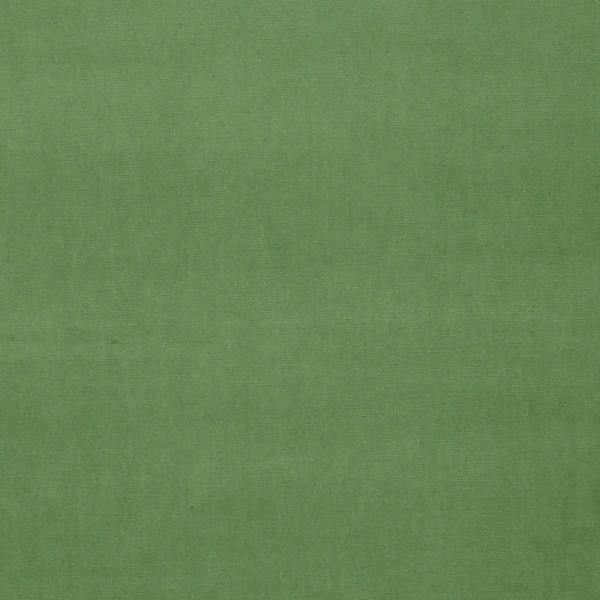 GAINSBOROUGH VELVET_ PARROT