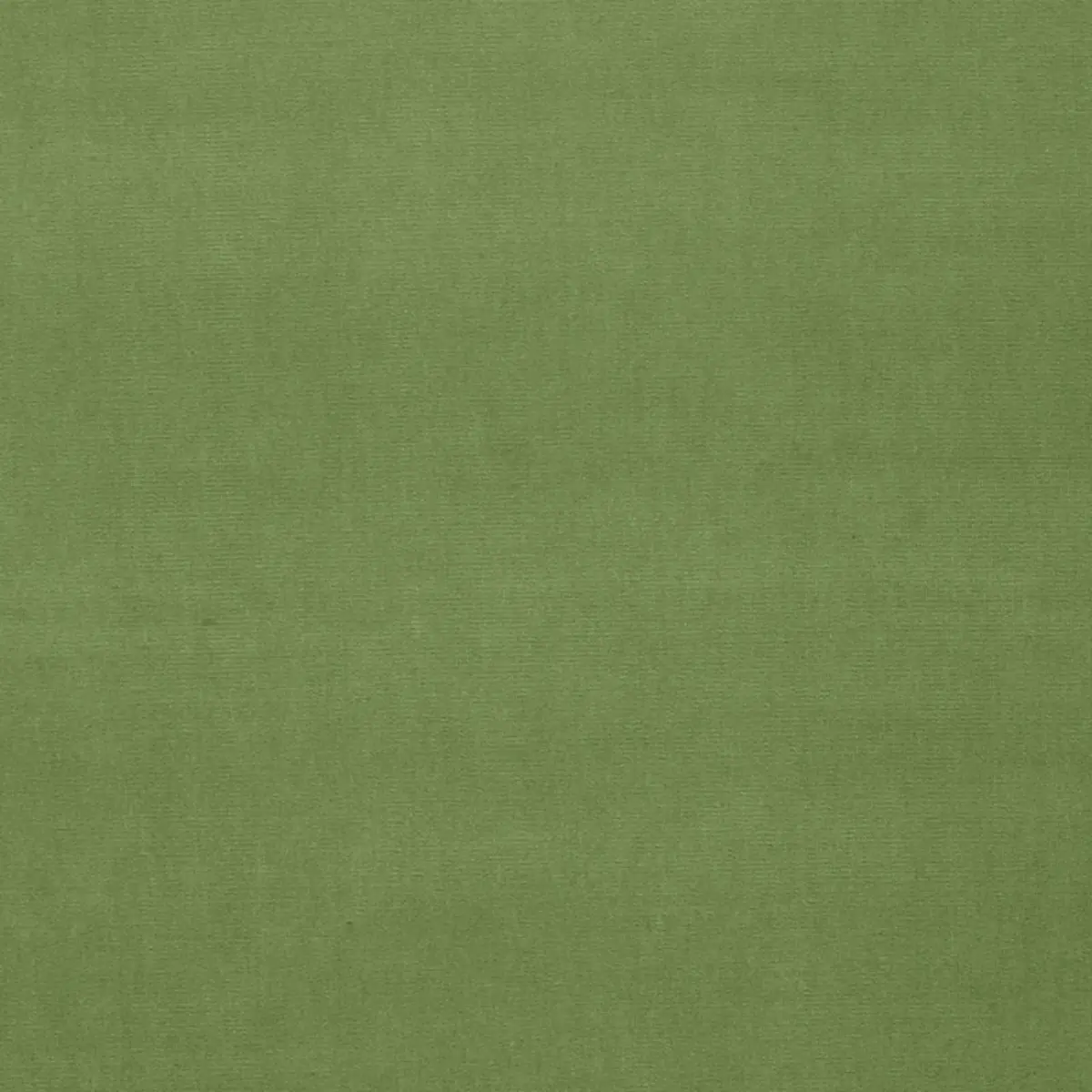 GAINSBOROUGH VELVET_ LEAF