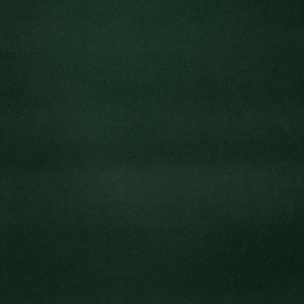 GAINSBOROUGH VELVET_ HUNTER