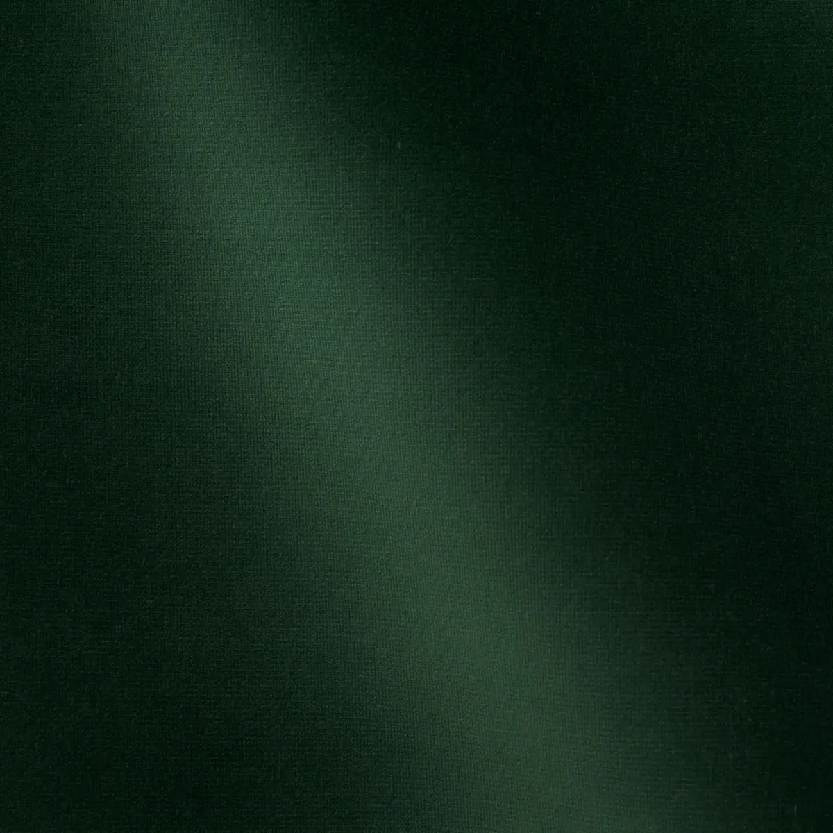 GAINSBOROUGH VELVET_ HUNTER