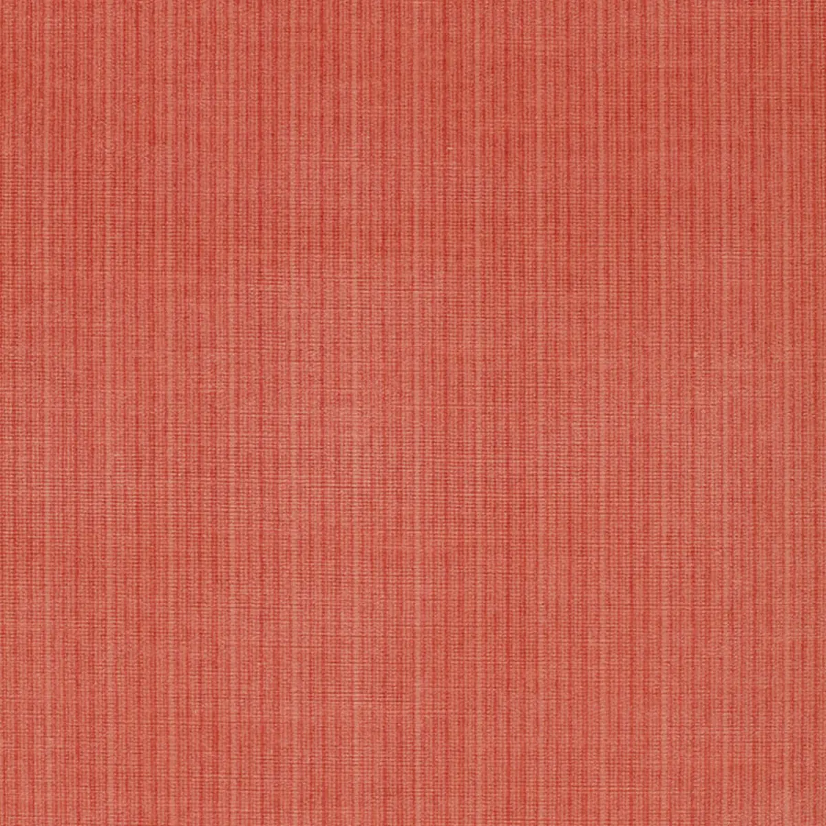 ANTIQUE STRIE VELVET_ CORAL