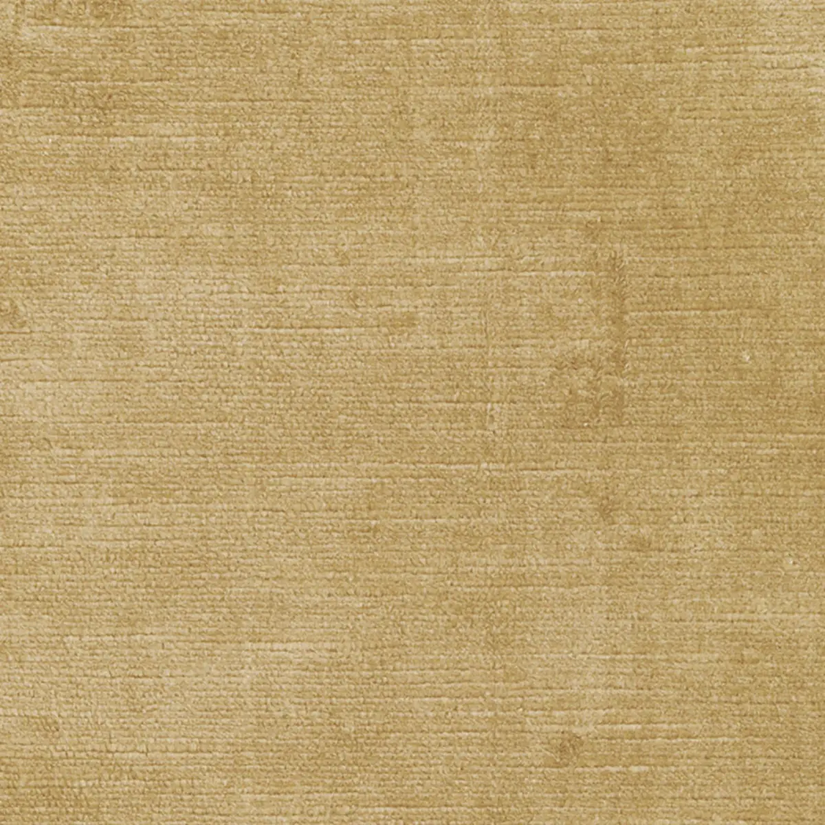 ANTIQUE LINEN VELVET_ CHAMPAGNE