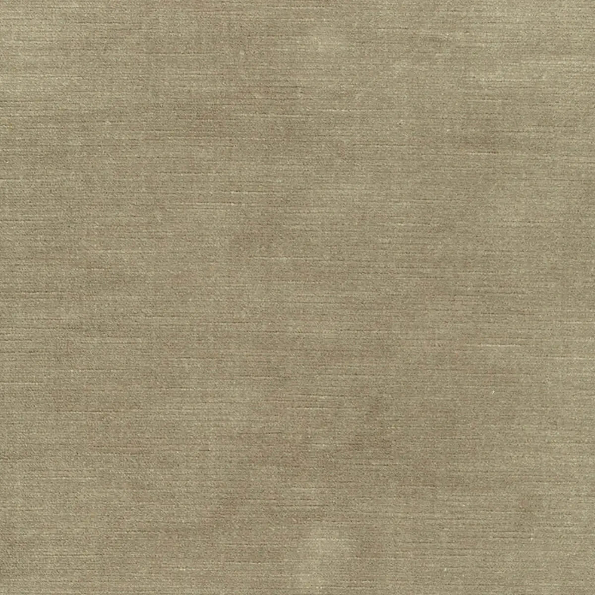ANTIQUE LINEN VELVET_ PEBBLE