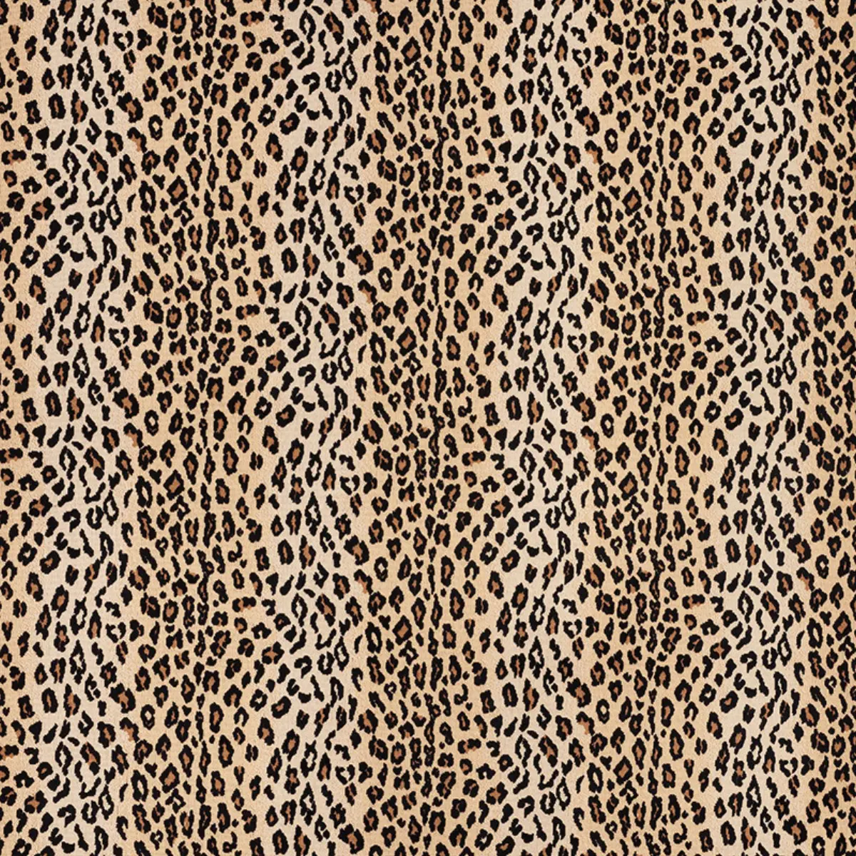 SAFARI ÉPINGLÉ_ LEOPARD